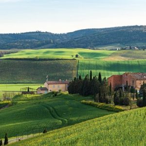Private transfer Rome to Florence with a stop to visit Tuscany countryside