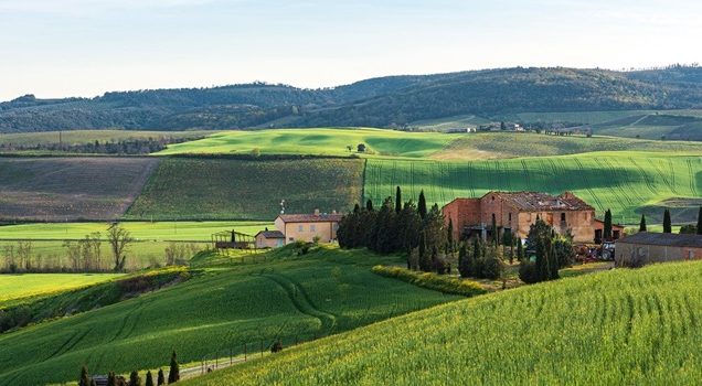 Private transfer Rome to Florence with a stop to visit Tuscany countryside