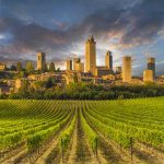 Tuscany Day Trips from Florence: Explore the Best of the Region