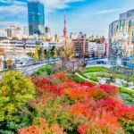 Tokyo Travel Guide Best Neighborhoods, Food & Cultural Experiences
