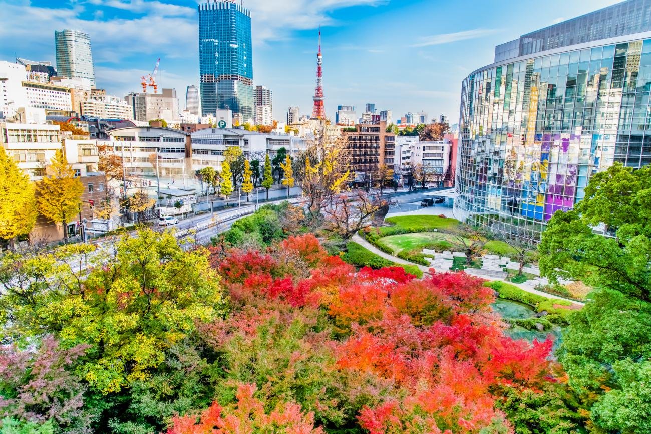 Tokyo Travel Guide Best Neighborhoods, Food & Cultural Experiences